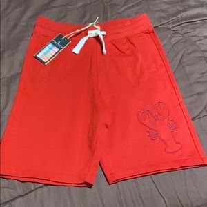 Tailor Vintage Brand Shorts. NWT!